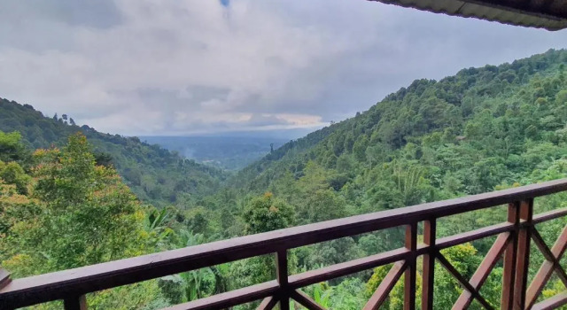 Коттедж Munduk V View House