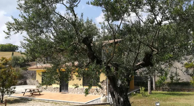 Шале с 2 комнатами Agriturismo I Tre Ulivi