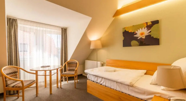 Одноместный номер Standard Plus Aqua Hotel Termál