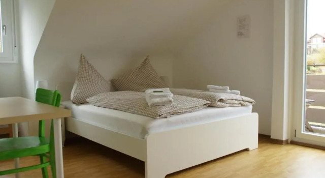 Двухместный номер Standard Black Forest Lodge