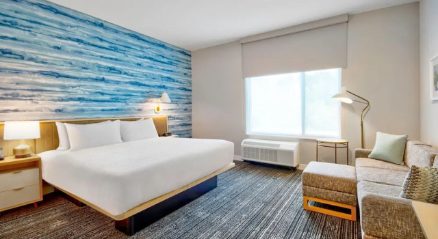 Двухместная студия TownePlace Suites by Marriott Asheville West