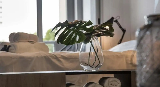 Bonpland & Nicaragua Studio