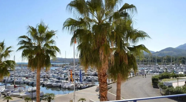 Appartement Argelès-sur-Mer, 2 pièces, 6 personnes - FR-1-225-464