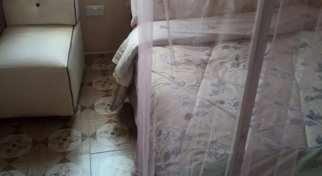 Номер Standard Swala Resort