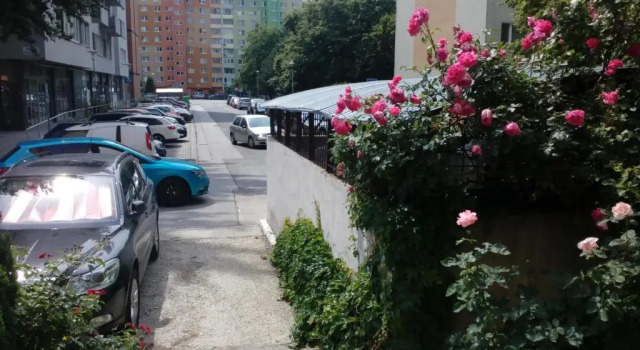 Кровать в общем номере (женский номер) Dominant Studio Hostel with Free Parking for Preregistered Drivers & Garage with CCTV