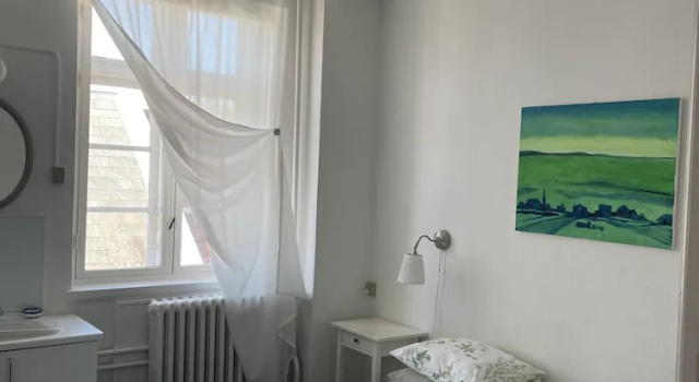 Двухместный номер Superior с видом на город Badehotel Harmonien