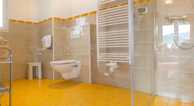 Двухместный номер Standard с балконом Hotel Schneeberger