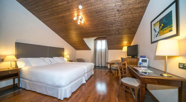 Двухместный номер Standard Hotel & Spa Real Badaguás-Jaca