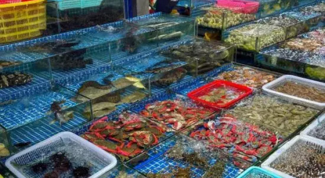 Huizhou Daya Bay Hailan Bay Homestay, Boek Hotel Goedkope hotels in Guangdong