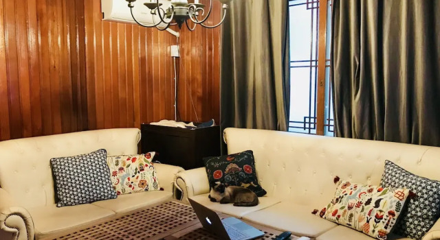 Avocado Guesthouse - Hostel