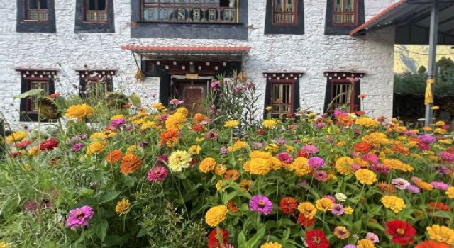 ZhiSand Serenity Homestead‌