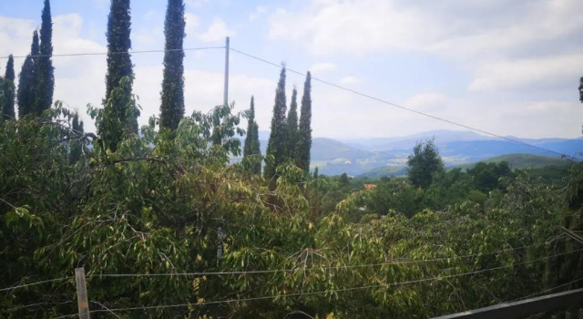 La casa di Nonno
