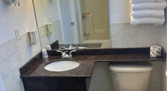 Четырёхместный номер Standard The Silver Birch Motel