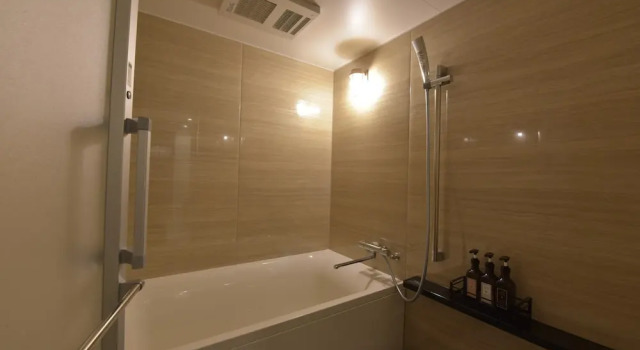 Полулюкс Hotel Vintage Tokyo Kagurazaka