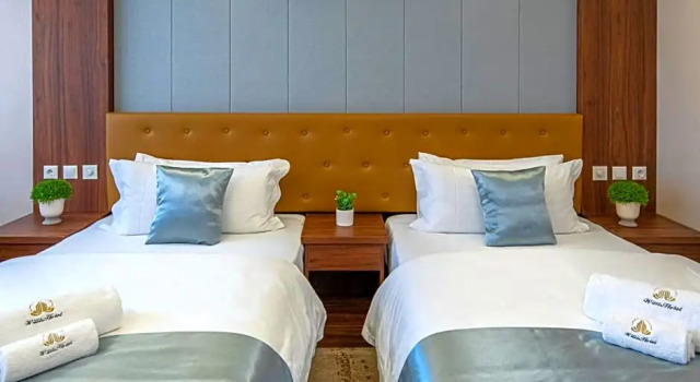 Двухместный номер Deluxe Willis Hotel Business & Wellness