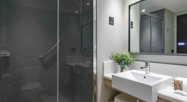 Четырёхместный номер Superior Pullman Santiago Vitacura