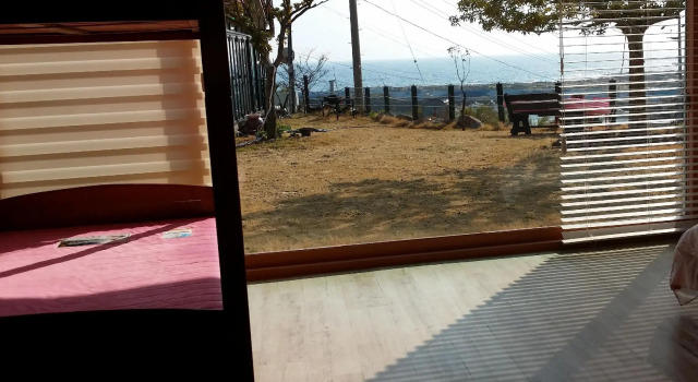 Семейный номер Standard JEJU Doldam B&B