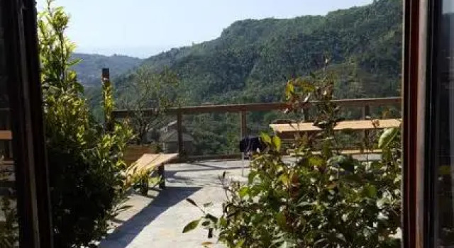 Апартаменты Цокольный этаж Agriturismo OlivArancio