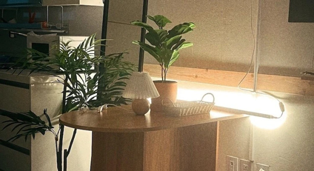 Номер Classic Jnineguesthouse