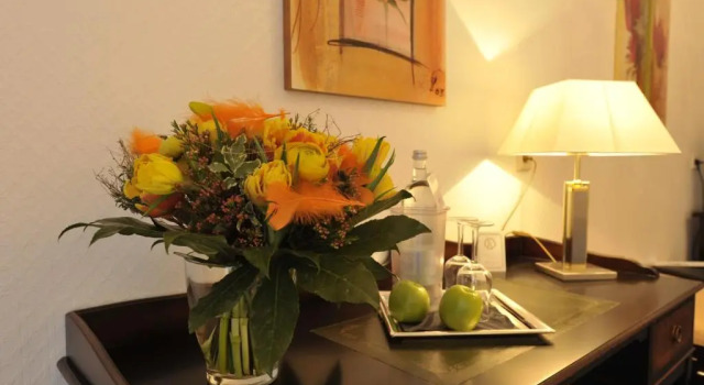 Одноместный номер Standard Hotel am Sophienpark