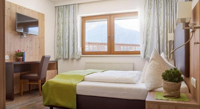Одноместный номер Standard Hotel Venetblick