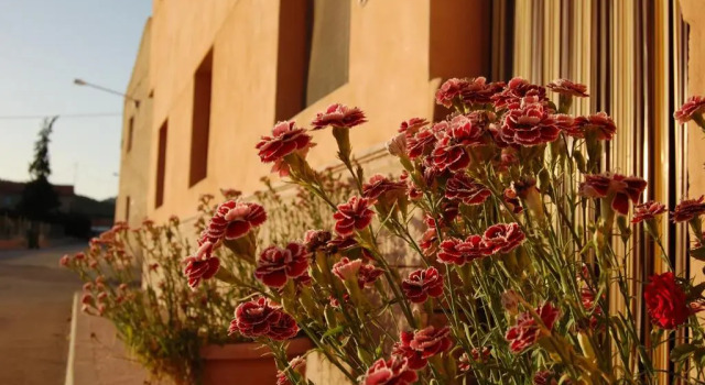Alojamientos Casa Ruiz, Book Hotel SPA-hoteller i Archivel, SPA