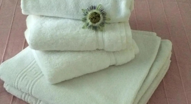 Номер Standard Chambres Les Passiflores