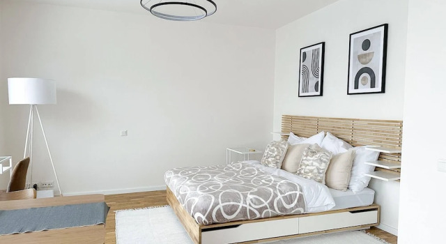Spacious Work-focused Apartments in Prague 3