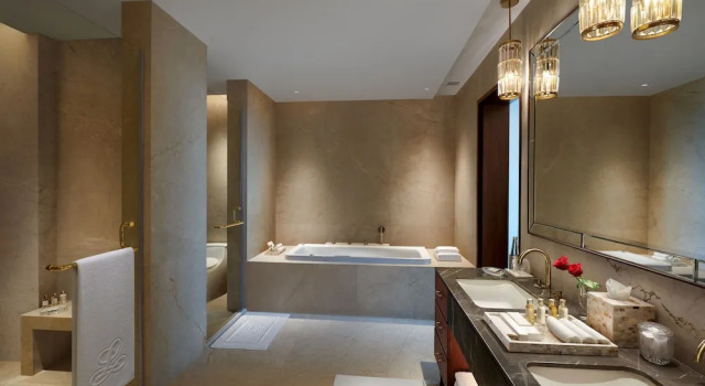 Люкс Presidential The Leela Gandhinagar