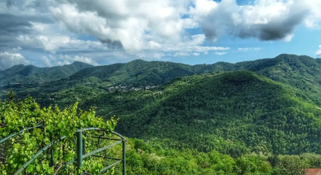 Номер Standard Bed and Breakfast Le Quattro Stagioni