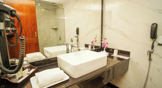 Двухместный номер Executive Ambassador Ajanta Hotel, Aurangabad