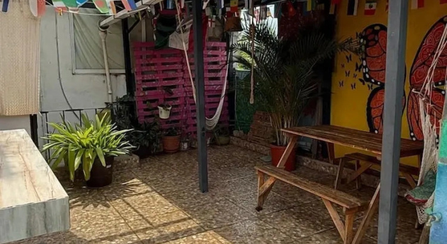 Номер Economy Hostal el Alebrije
