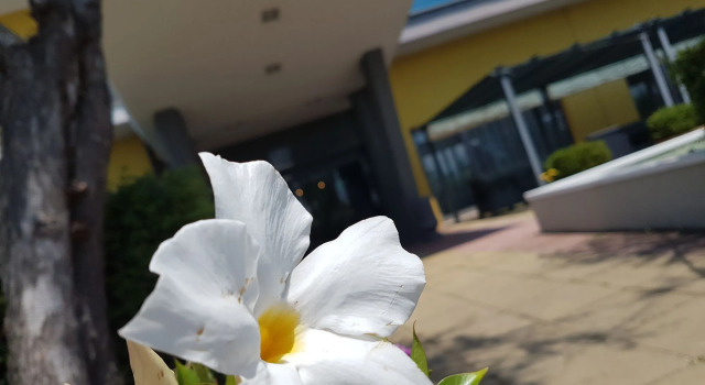 Best Western Hotel Class Lamezia, Buchen Sie Hotel Lamezia Terme Kalabrien