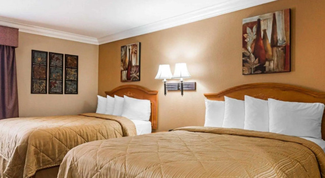 Четырёхместный номер Standard Quality Inn & Suites
