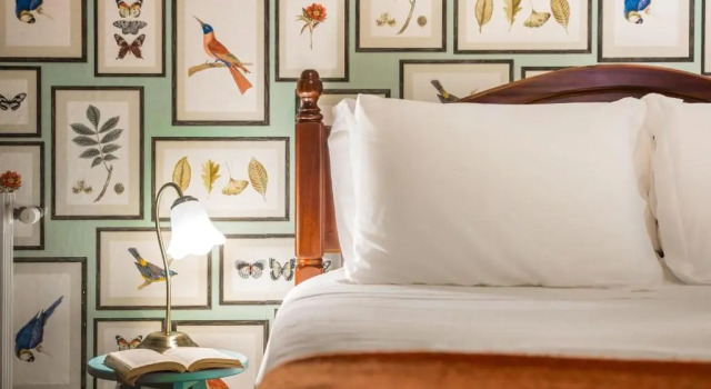 Двухместный номер Standard Chalet Relogio Guesthouse