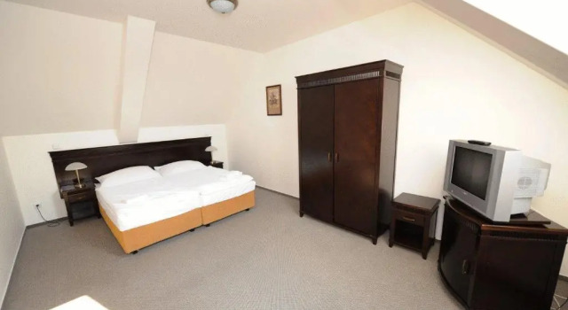 Люкс Hotel U Zeleneho stromu