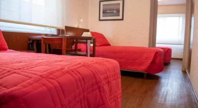 Номер Standard Hotel Ajax