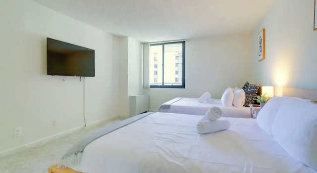 Апартаменты Comfort c 1 комнатой с балконом и с видом на город Serene DC-Area Apartments