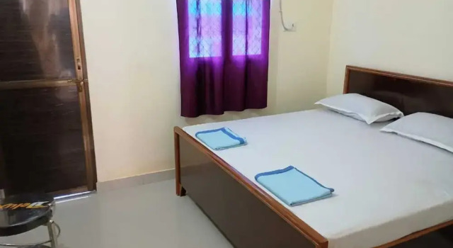 Номер Deluxe Ajay Palace Home Stay