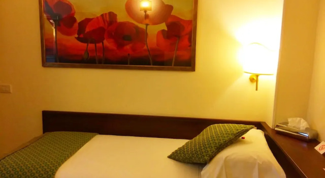 Одноместный номер Hotel Athena
