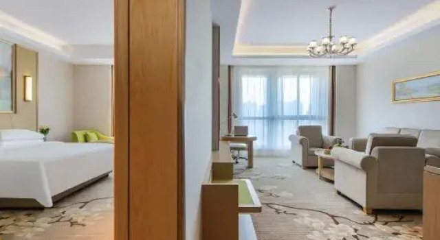 Люкс Superior Vienna International Hotel (Yuhuan Wanda Plaza)