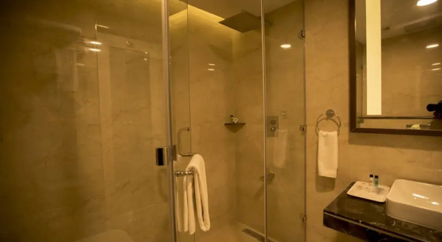 Люкс Executive S Hotels Chennai