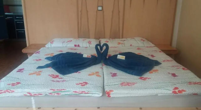 Appartement Gassner, Забронировать Апартаменты/квартира Леоганг Лыжный цирк Заальбах-Хинтерглемм-Леоганг-Фибербрунн, рядом с Asitzbahn II