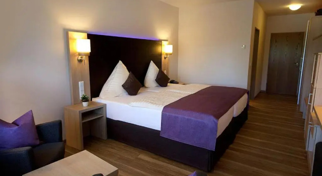 Двухместный номер Comfort Hotel Steuer