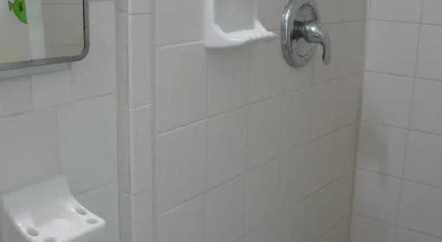 Одноместный номер Standard Palm Court Motel
