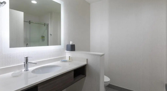 Люкс Holiday Inn Greenville - Woodruff Road by IHG