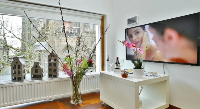 Luxury Apartments Delft - Royal Delft Blue