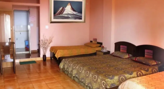 Двухместный номер Deluxe Hotel Himshikhar Joshimath