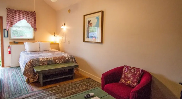 Номер Standard с видом на сад The Swan Hotel