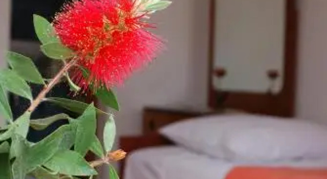 Korčula Guest House, Забронировать Гостевой дом Гостевые дома Корчулы, рядом с Пляж Лука Корчуланска, Гостевой дом